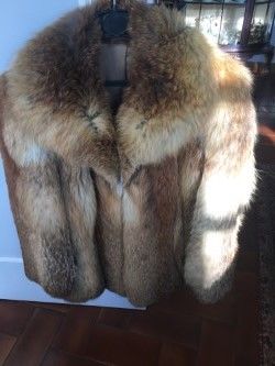 VESTE FOURR�E femme taille 38 130 Cachan (94)