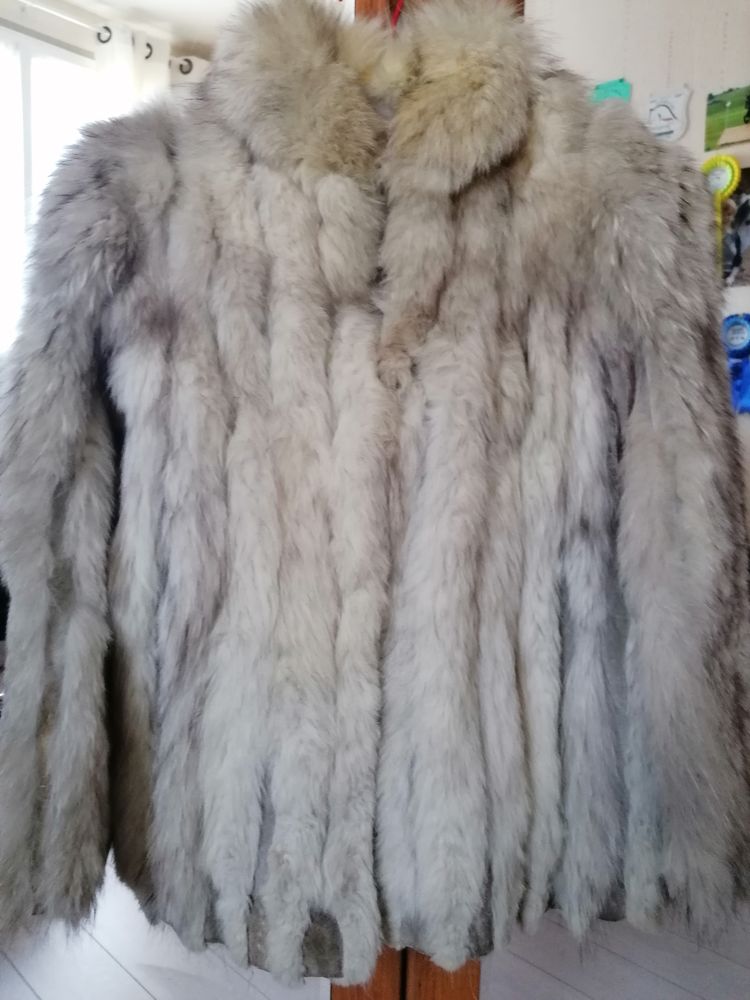 Veste de fourrure en renard bleu 70 �ragny (95)