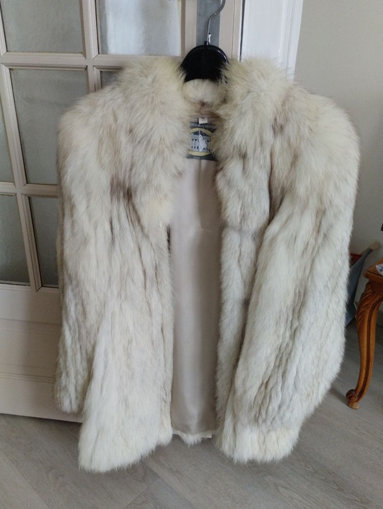 Veste renard bleu taille 42 300 Lorris (45)