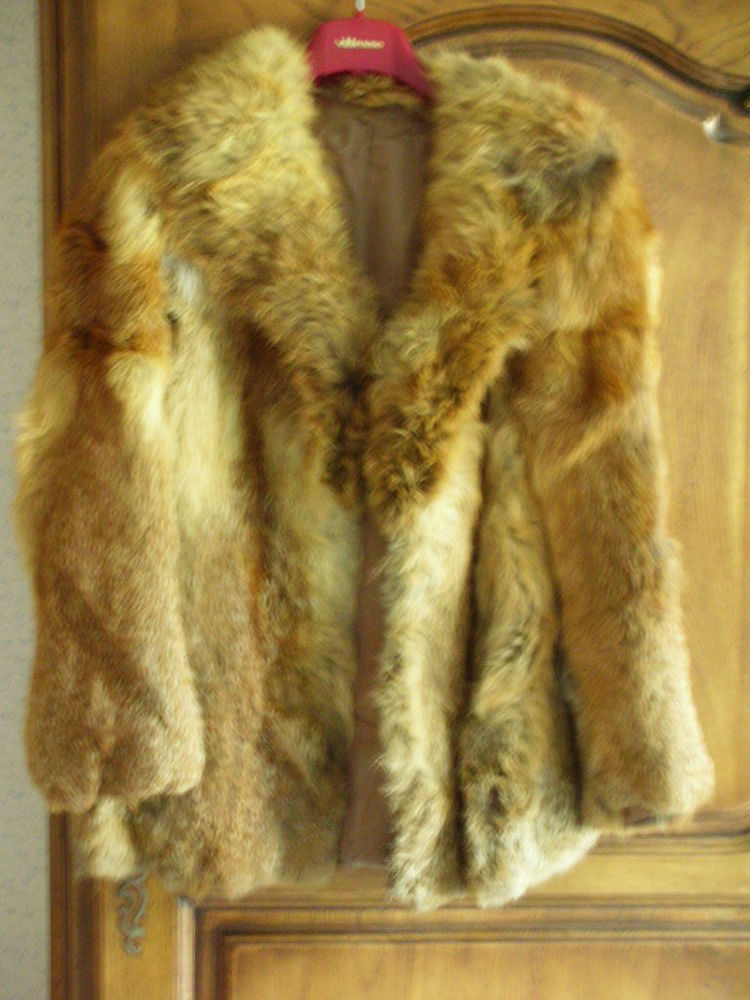 VESTE EN RENARD ROUX 200 Montpellier (34)