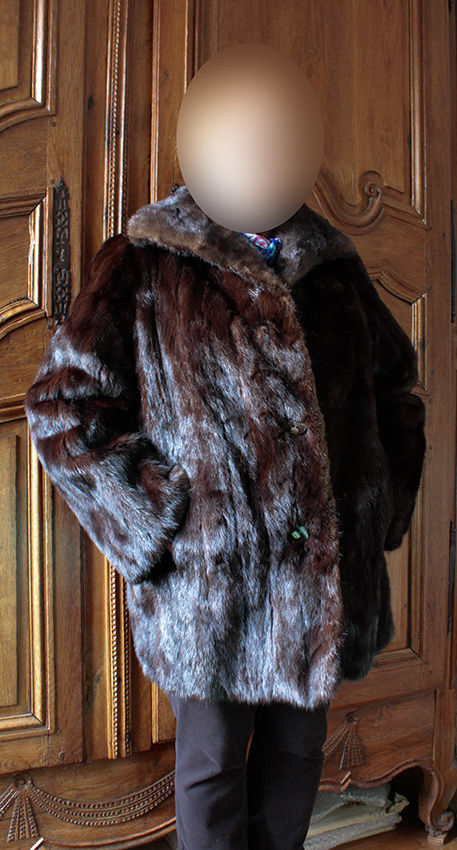 VESTE DE VISON DARK 200 Paris 19 (75)