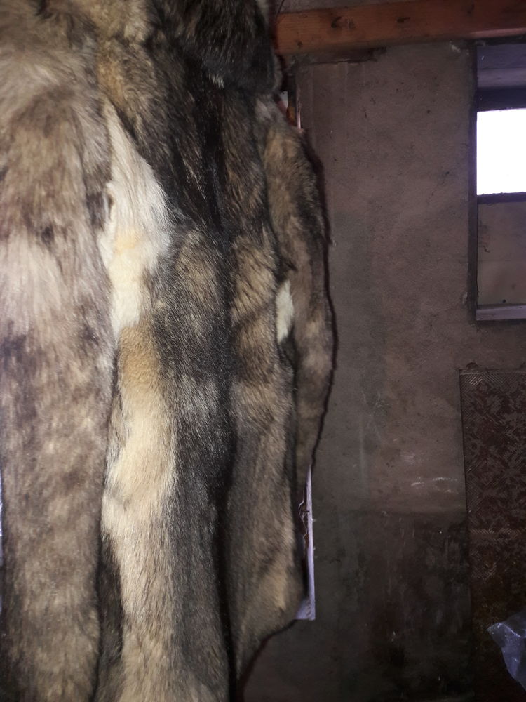 veste 0 Tournon-sur-Rh�ne (07)