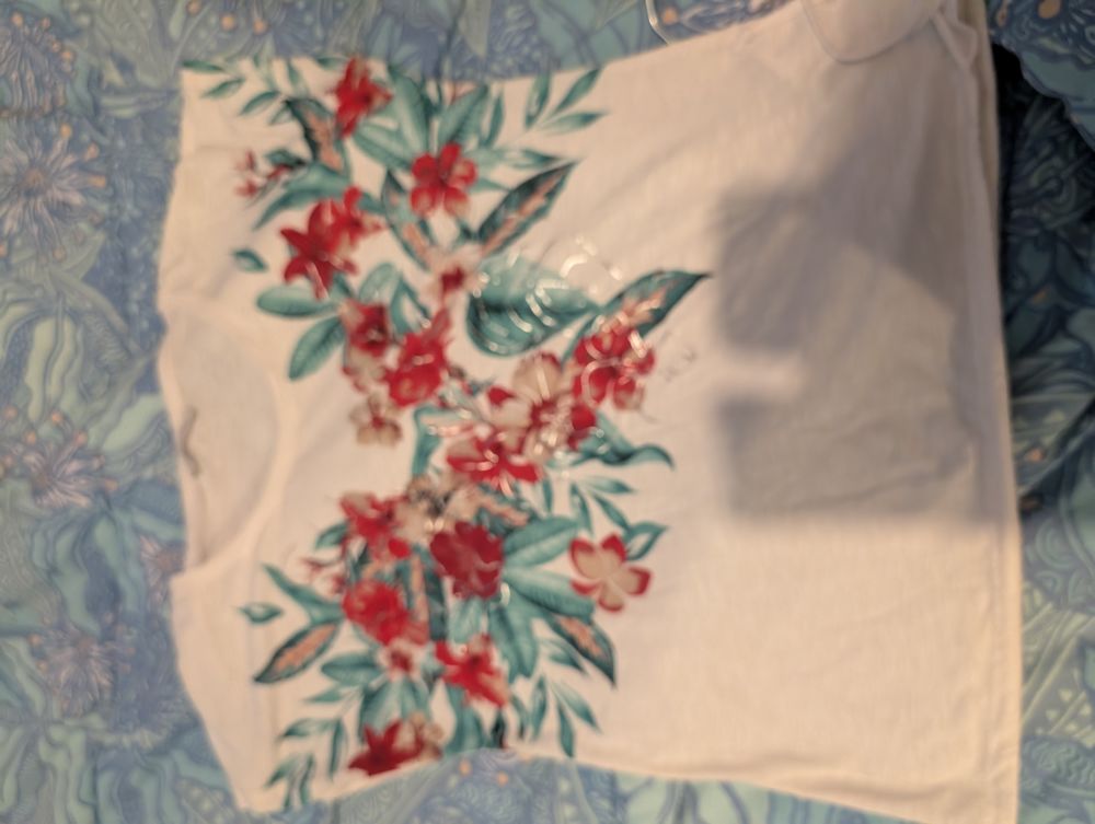 v�tements d'occasion femme , bon etat 40 Avignon (84)