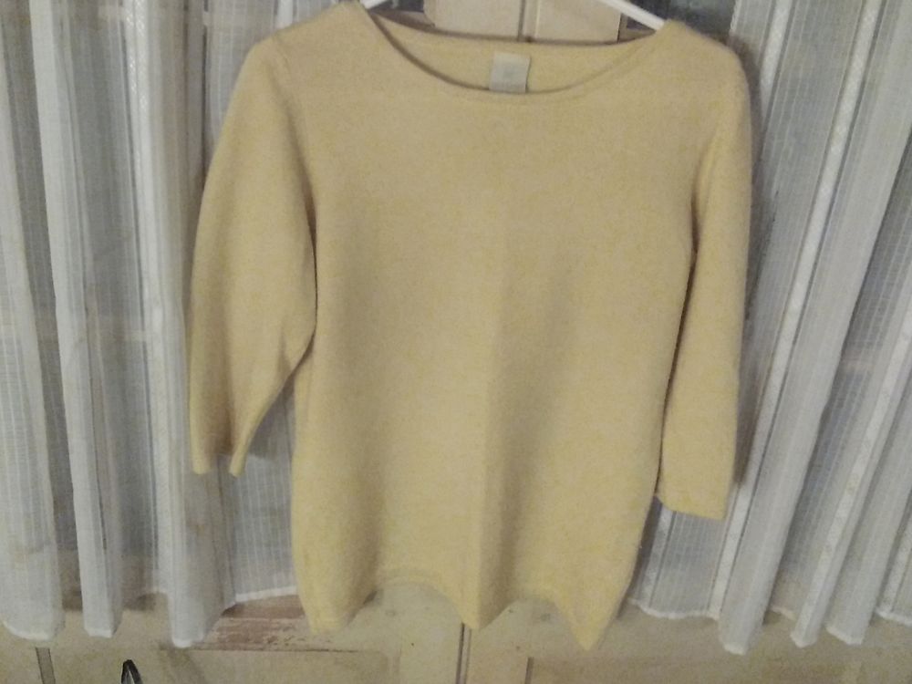 V�tements pull 42/44 taille petit 20 Saint-Bonnet-sur-Gironde (17)