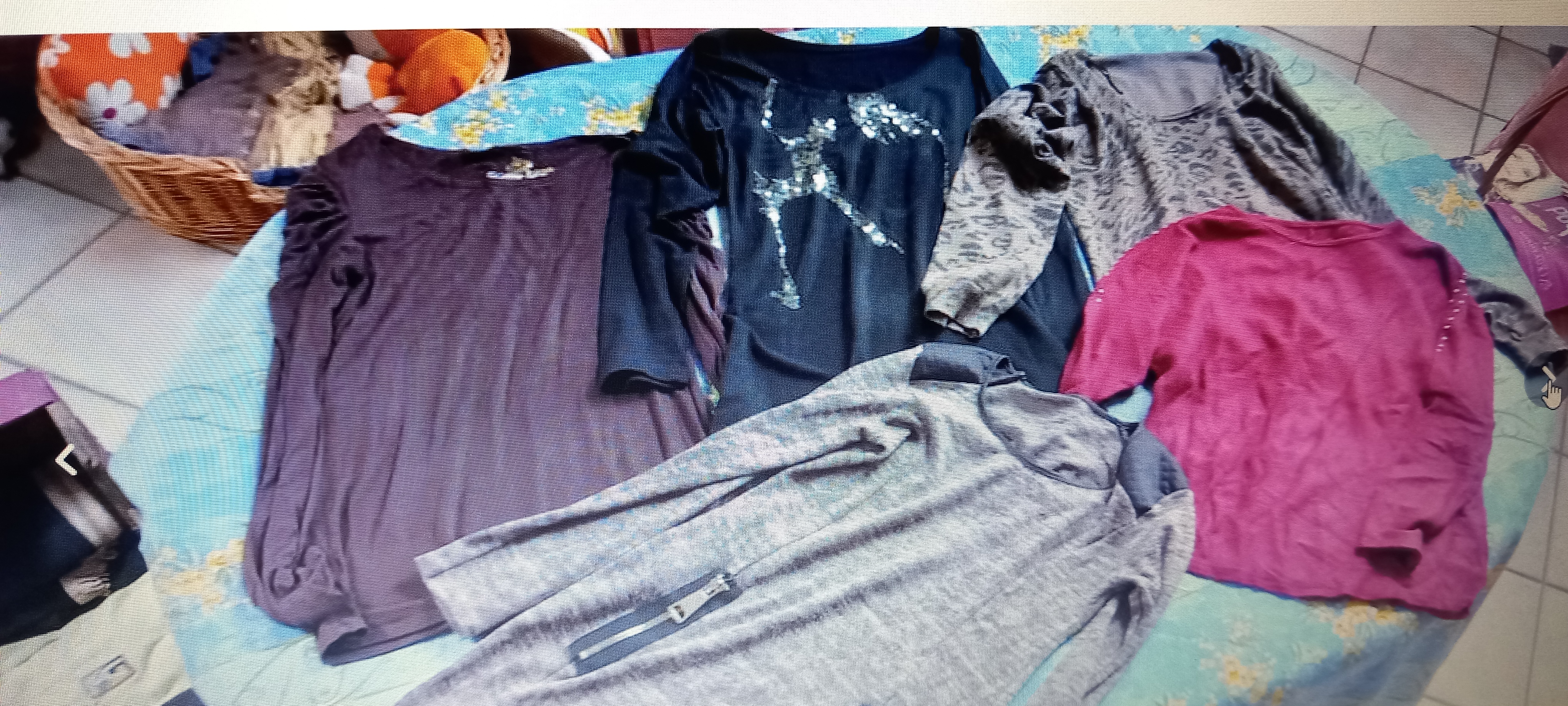 lot de vetements taille 42 20 La Tour-du-Crieu (09)