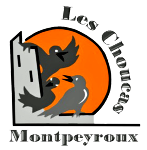 Vide grenier de printemps 0 Montpeyroux (63)