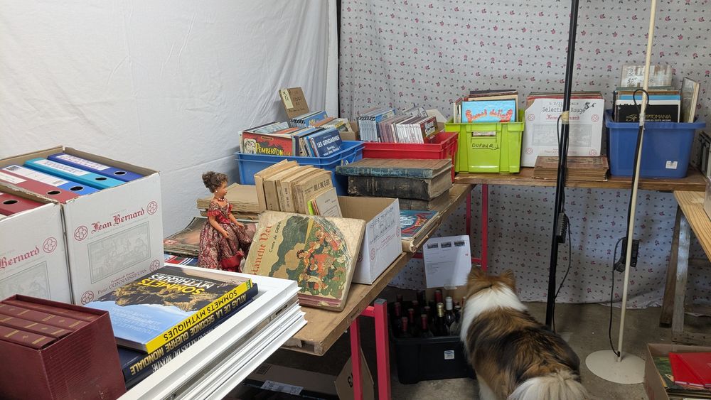 vide grenier , vide cave  0 �terville (14)