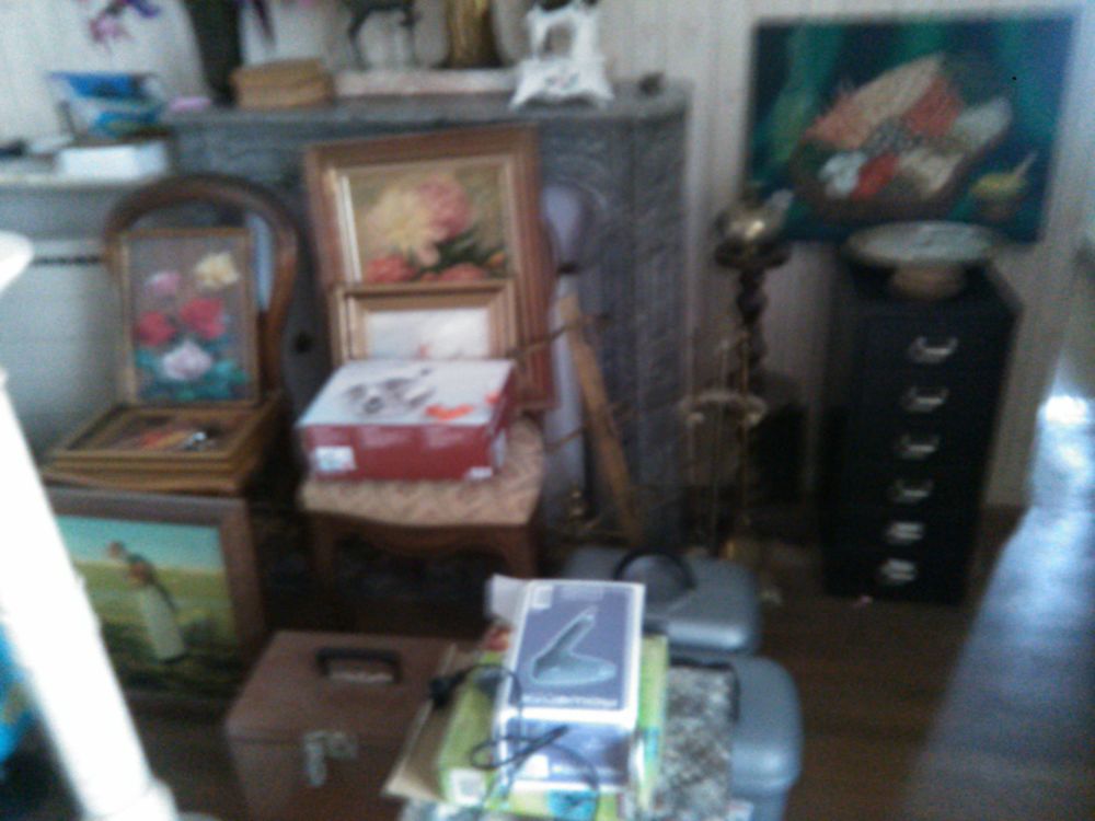 vide grenier 0 Indre (44)