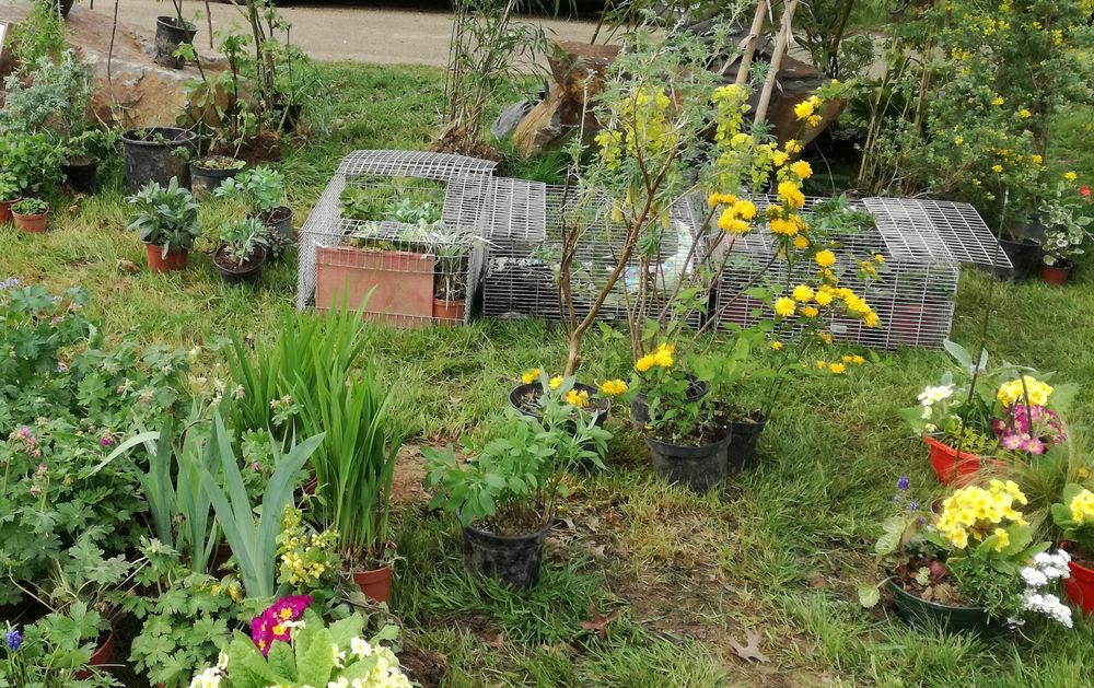 Vide-jardin de Tr&eacute;v&eacute;rien 0 Tr�v�rien (35)