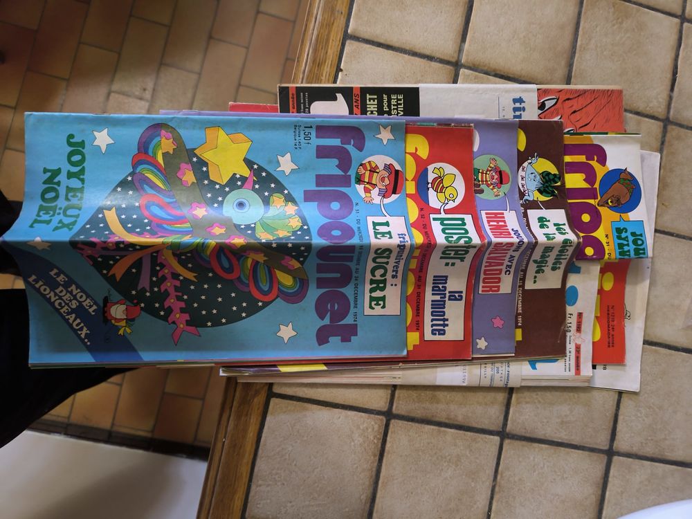 Vide-maison d'une habitation cinquantenaire. 0 Castanet-Tolosan (31)