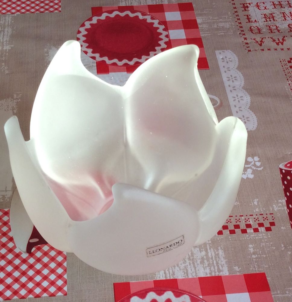 vide poche verre poli Leonardo 15 Bron (69)