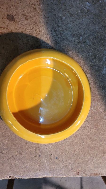 VIDE POCHE 5 Lavalette (31)