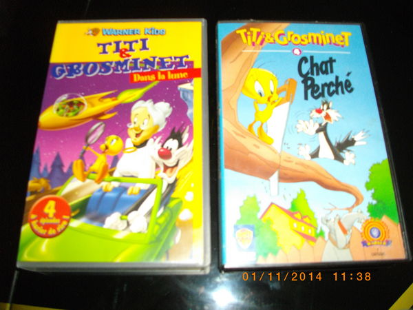 2 K7 VIDEO DE :   TITI ET GROSMINET   (5 � la K7 au choix) 5 Perros-Guirec (22)