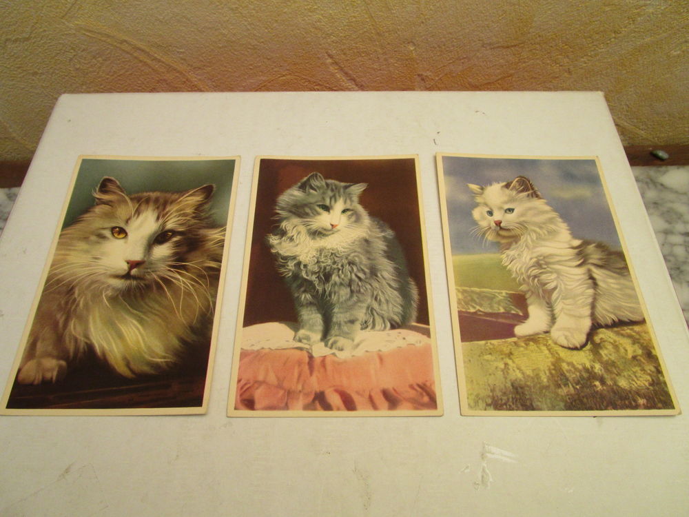 VIEILLE CARTE POSTALE DE CHAT 5 Villepinte (93)