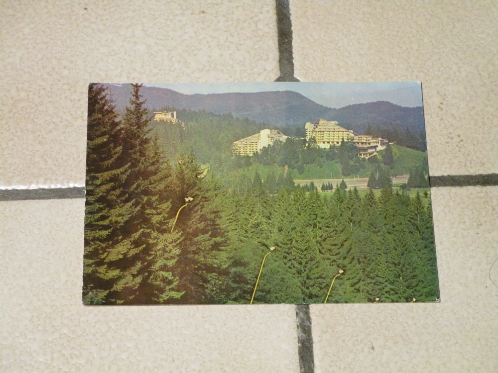 VIEILLE CARTE POSTALE 1984 ROUMANIE-POIANA BRASOV  10 Villepinte (93)