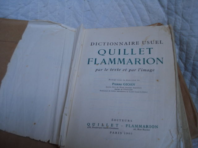 vieux dico 10 Saint-Aubin-le-Cloud (79)