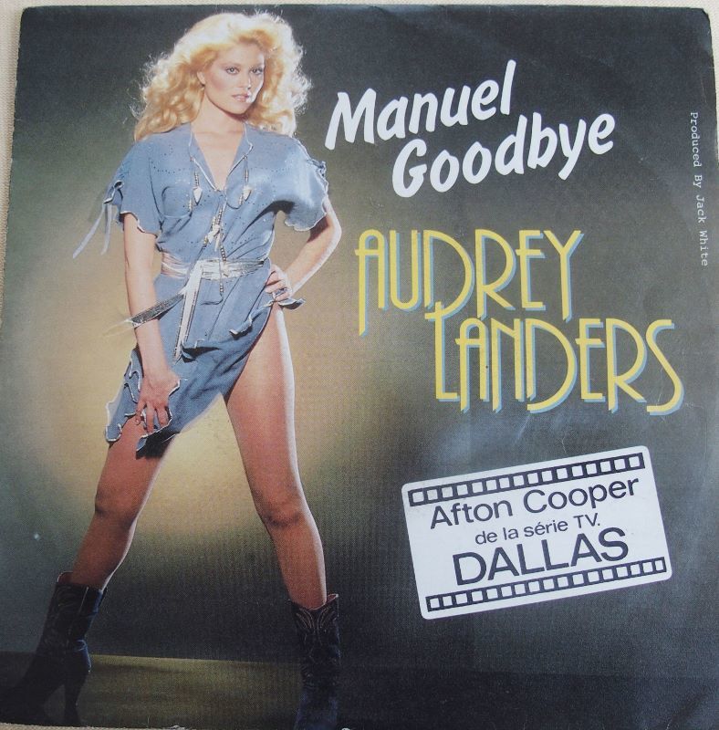Vinyl Audrey LANDERS 3 Lille (59)