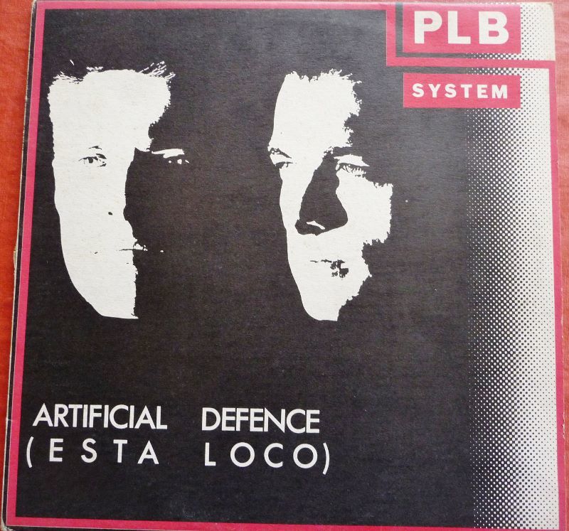 Vinyl PLB SYSTEM  5 Lille (59)