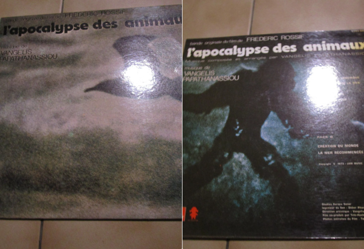 vinyle 33tours collectionam 15 La Roche-Derrien (22)