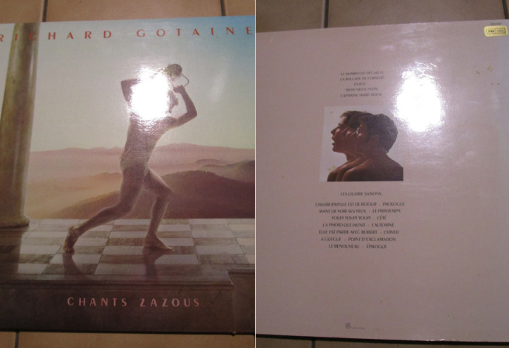 vinyle 33tours collectionh 15 La Roche-Derrien (22)