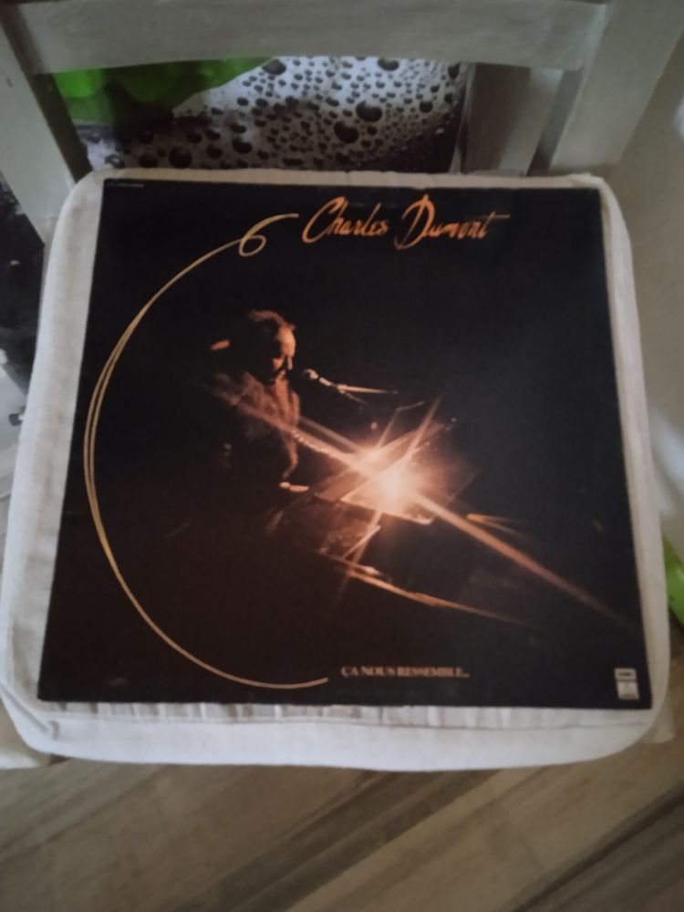Vinyle Charles Dumont
�a Nous Ressemble
1979 12 Talange (57)