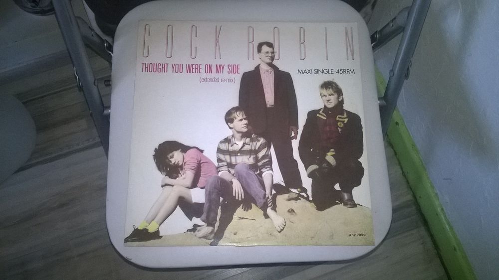 Vinyle Cock Robin
Thought You Were On My Side
Maxi 45T
198
10 Talange (57)