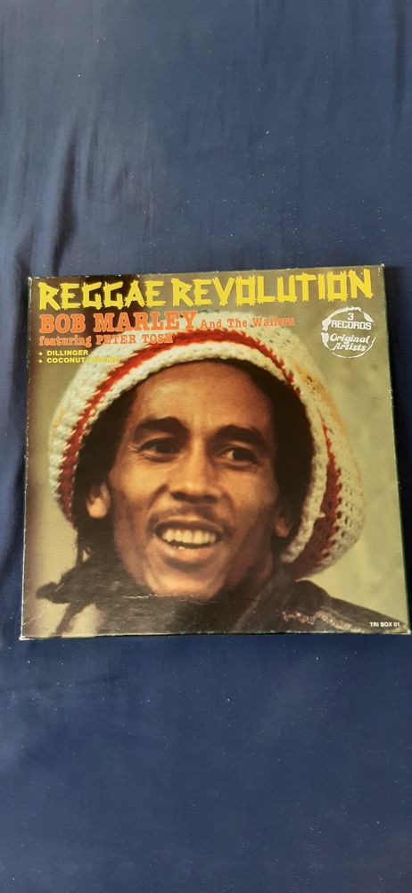 12 vinyle collector 40 Fontaine (38)