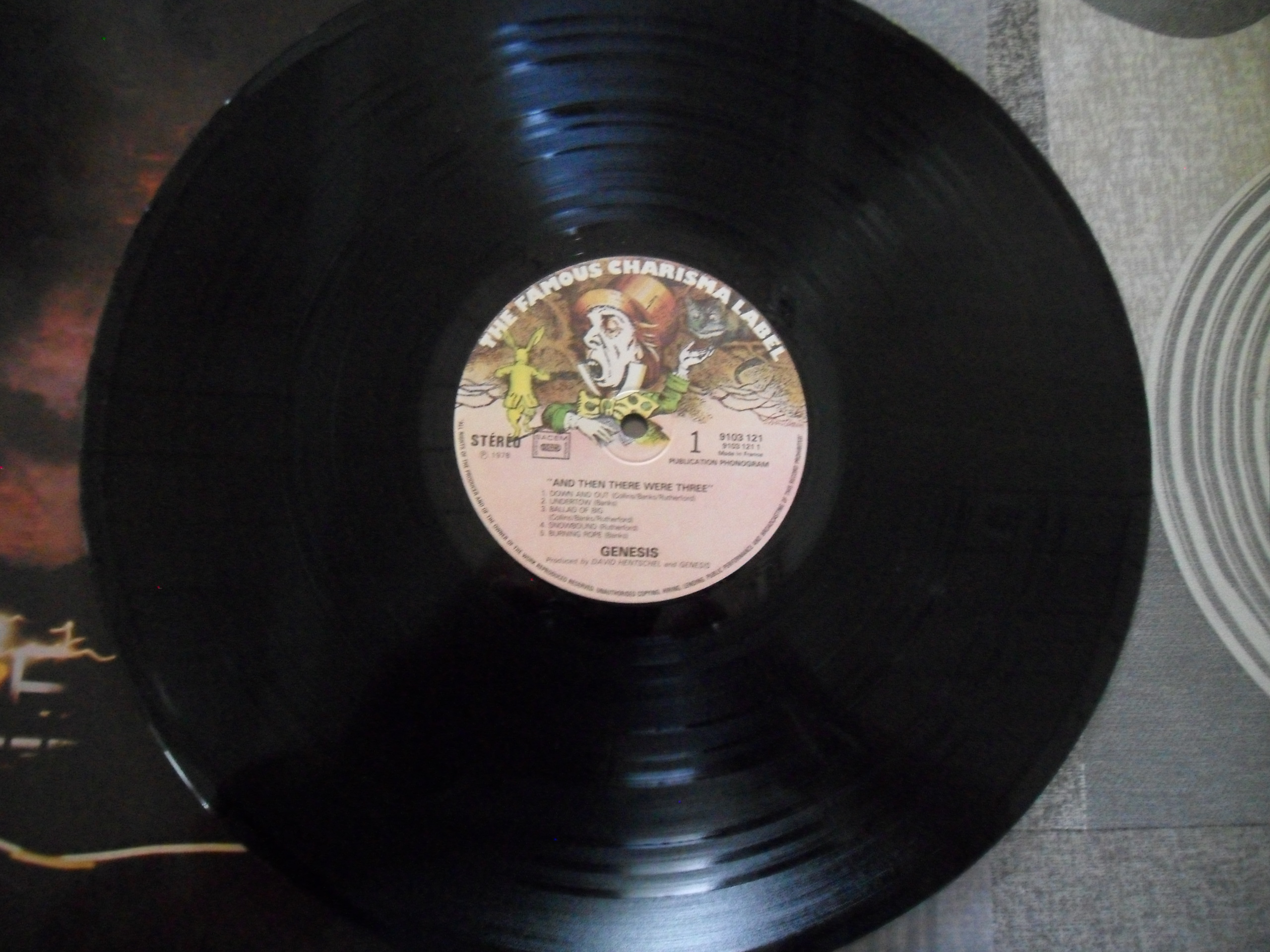 vinyle genesis 15 Arvert (17)