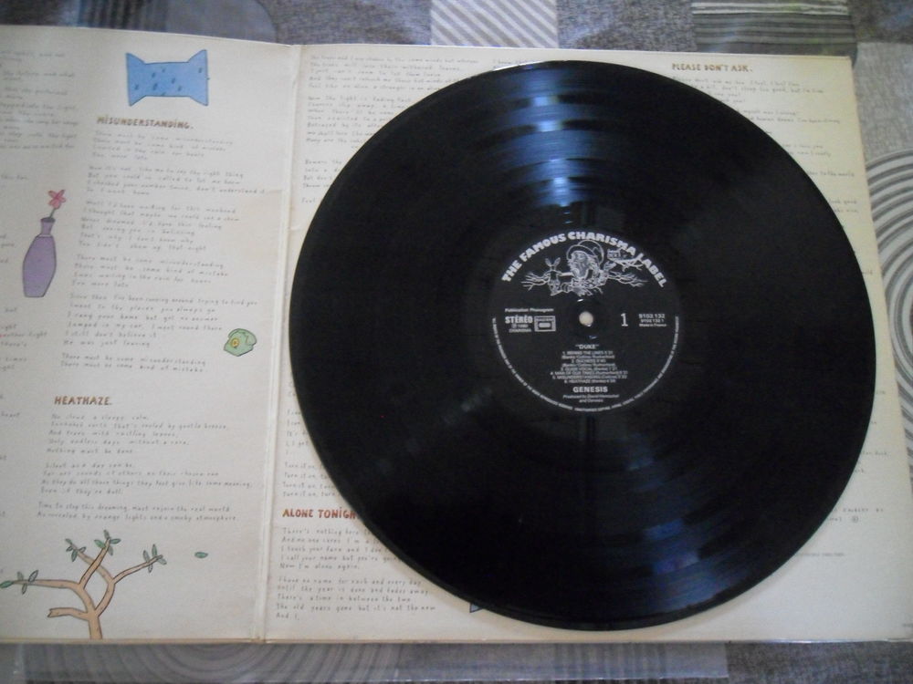 vinyle genesis 12 Arvert (17)