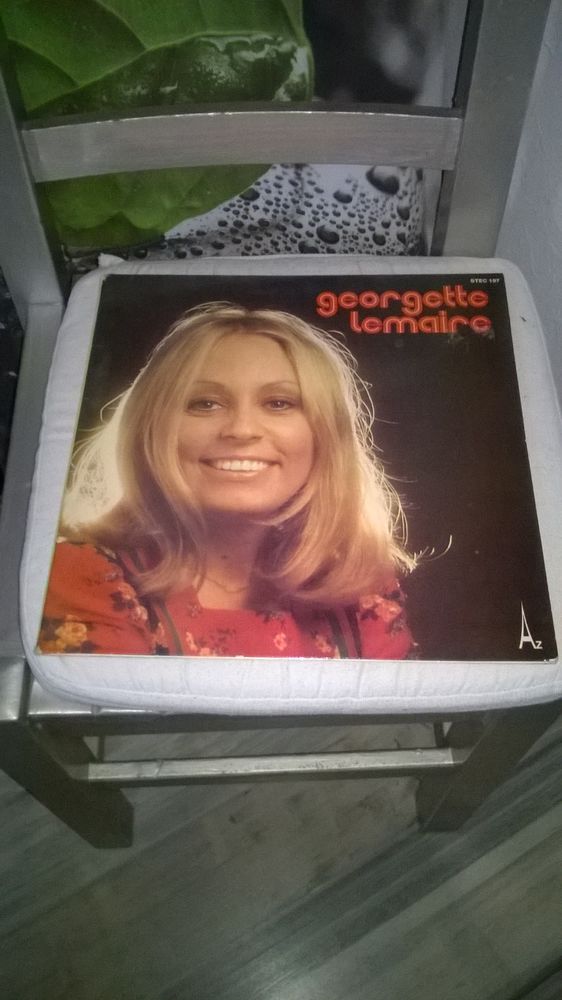 Vinyle Georgette Lemaire
1975
Excellent etat
Reste
La Fra 5 Talange (57)