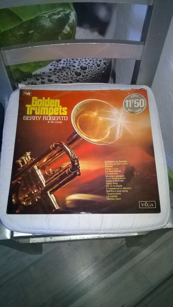 Vinyle Gerry Roberto & His Music
Golden Trumpets
Excellent 9 Talange (57)