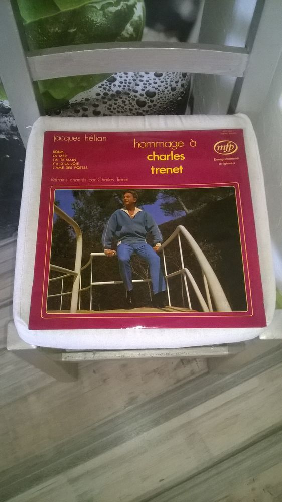 Vinyle Jacques H�lian
Hommage � Charles Tr�net
1972
Excel 10 Talange (57)