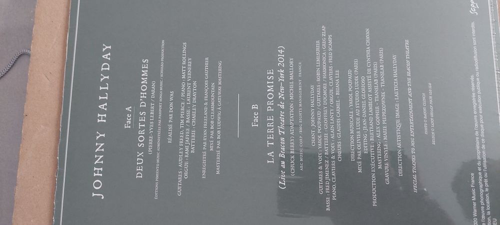 25 cm vinyle Johnny hallyday 10 Gien (45)