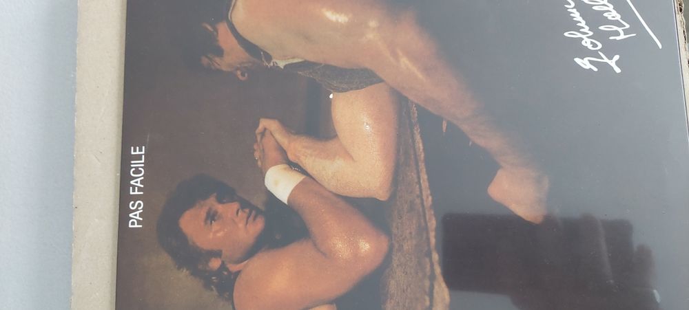 vinyle Johnny hallyday 10 Gien (45)