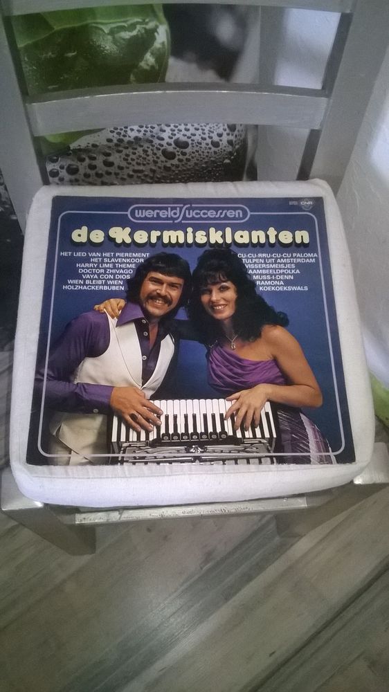 Vinyle De Kermisklanten
Wereldsuccessen
1977
Excellent et 5 Talange (57)