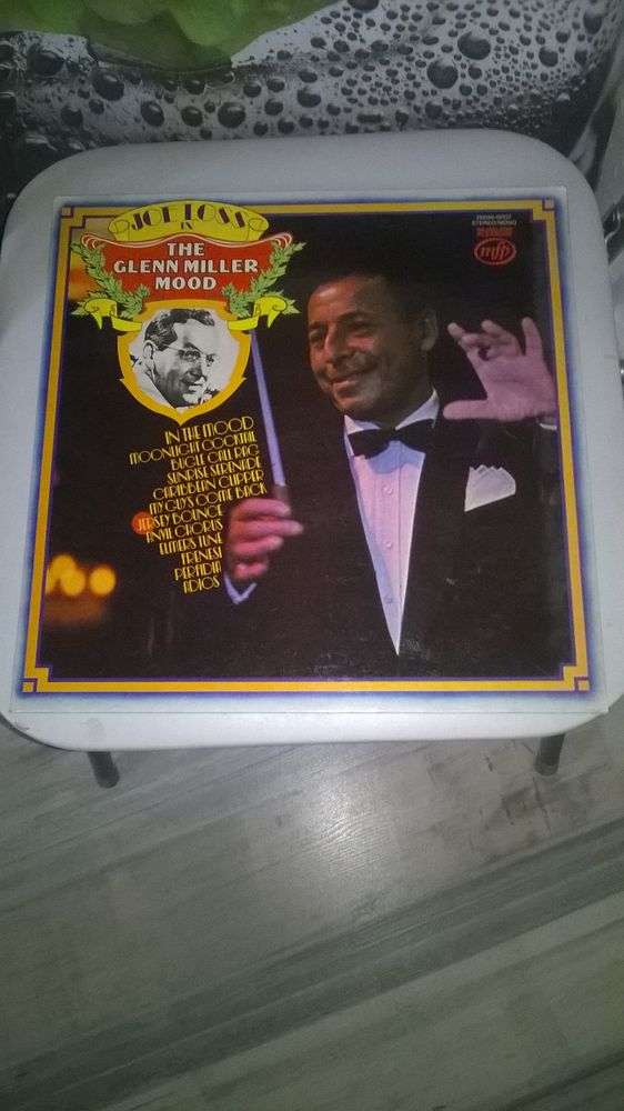 Vinyle JOE LOSS
IN THE GLEEN MILLET MOOD
Excellent etat
B 10 Talange (57)