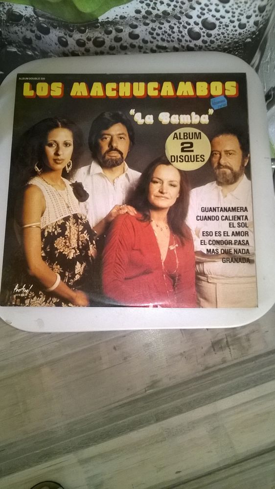 Vinyle Los Machucambos
La Bamba
1979
Excellent etat
Doub 9 Talange (57)