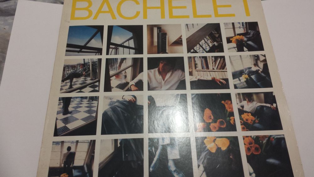 VINYLE PIERRE BACHELET
BACHELET
8 Triel-sur-Seine (78)