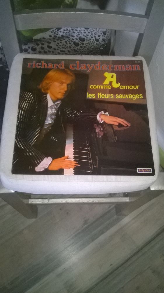 Vinyle Richard Clayderman
A Comme Amour - Les Fleurs Sauvag 5 Talange (57)