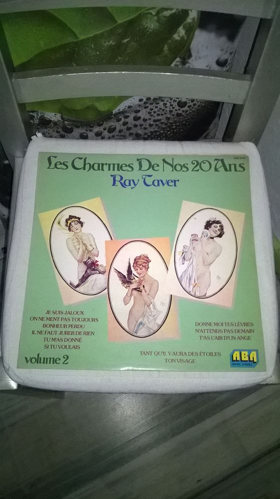 Vinyle Ray Taver
les charmes de nos 20 ans
1970
Tres bon  10 Talange (57)