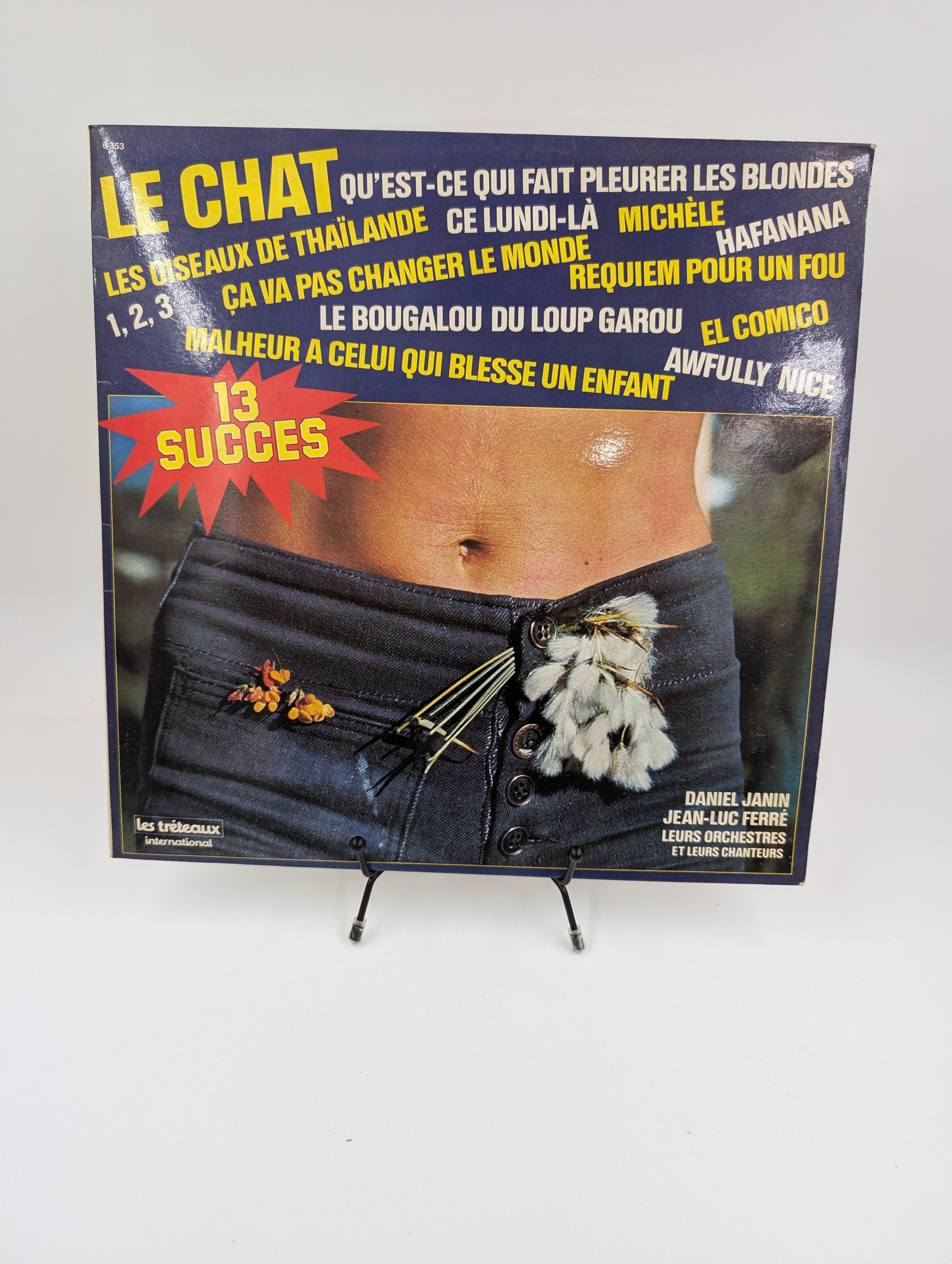Vinyle 33 tours 13 Succ�s : Le Chat (Qu'est-ce qui fait...) 4 Vulbens (74)