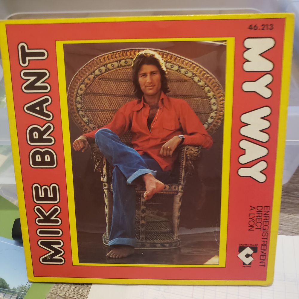 Vinyle 15 Thouars (79)