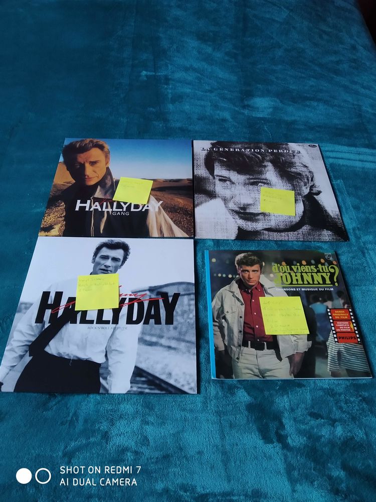 vinyles johnny hallyday 15 Auby (59)