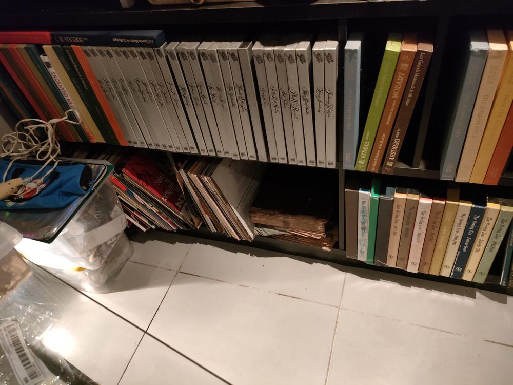 VINYLES 250 Llauro (66)