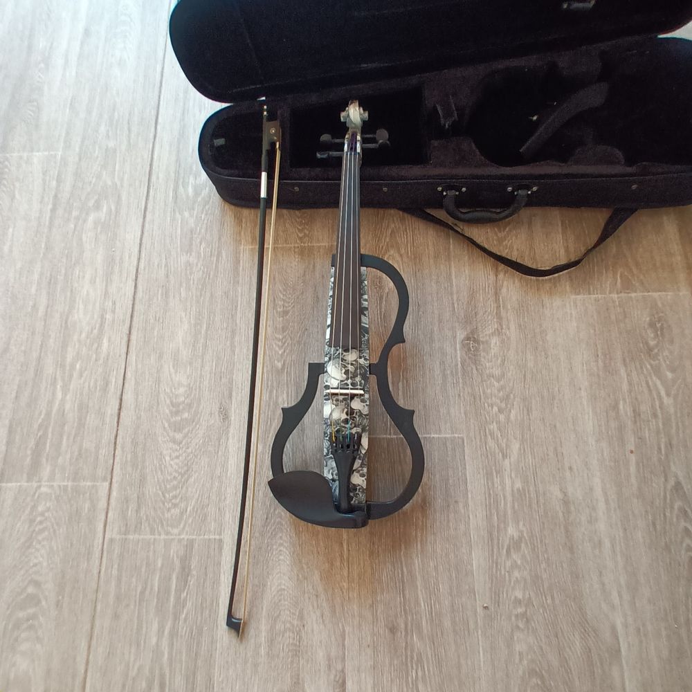 Violon electrique avec son ampli 120 Cosne-Cours-sur-Loire (58)