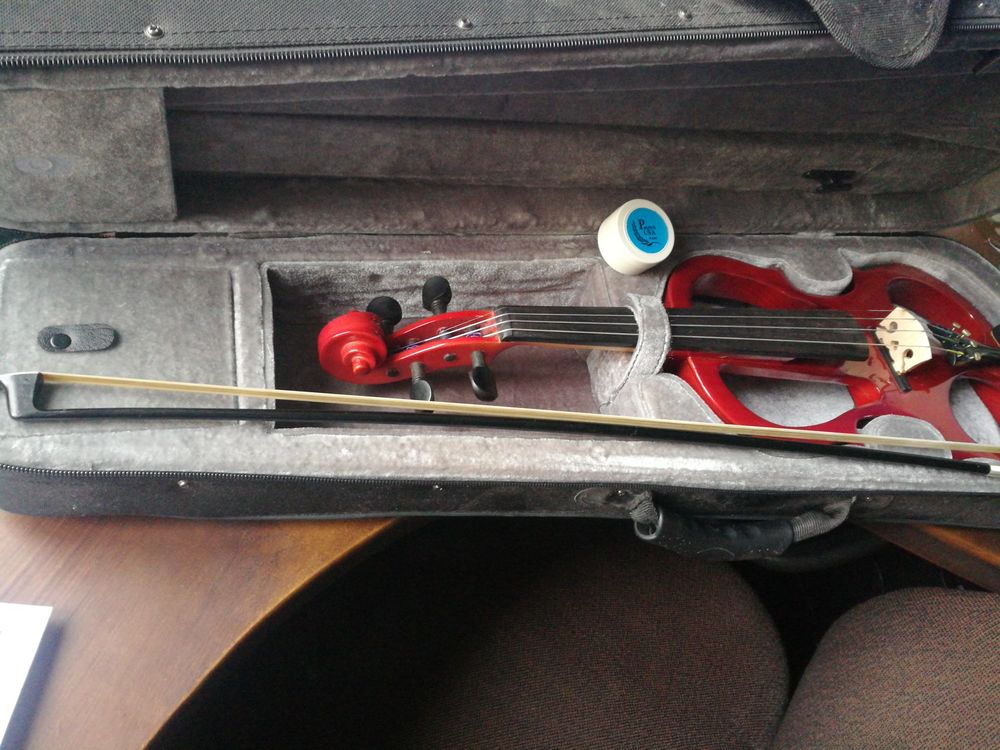 Violon �l�ctronique 300 Paris 20 (75)