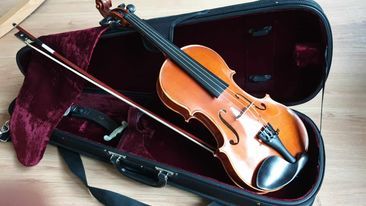 Violon 4/4 tr�s bon �tat avec �tui et archet 1250 Villeneuve-d'Ascq (59)