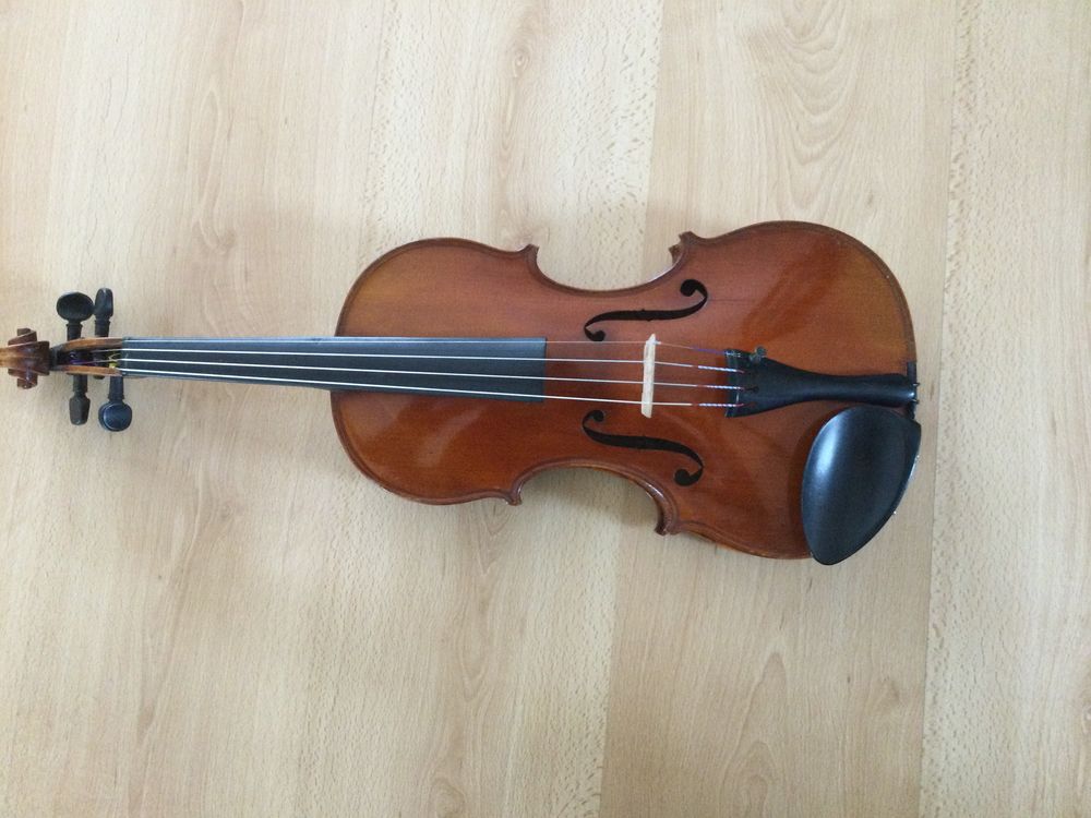 violon 950 Mauves-sur-Loire (44)