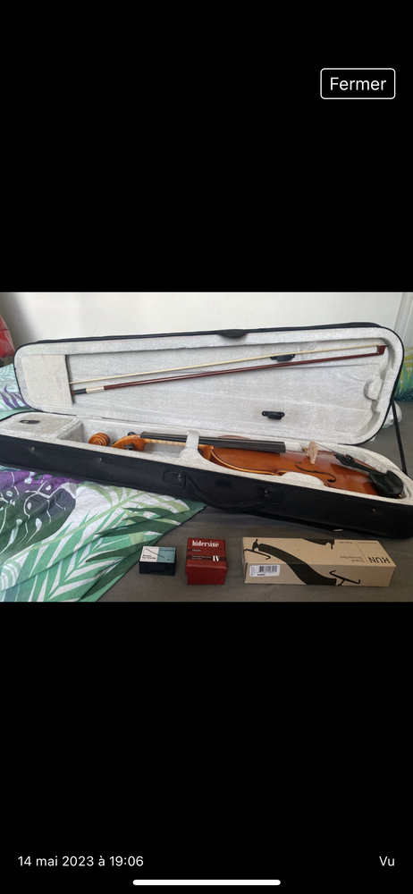 violon 200 Arles (13)