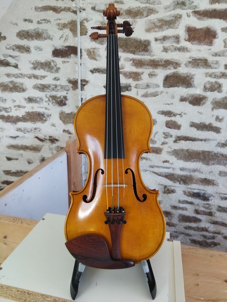 Violon 4/4 650 Lizio (56)